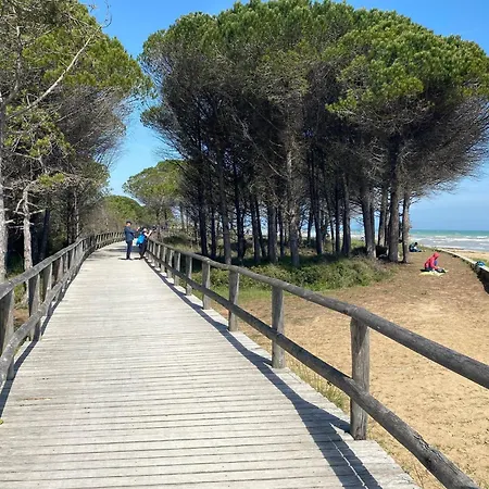 Luminous With Garden Bibione