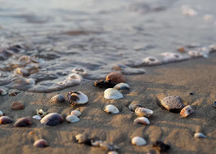 Luminous With Garden *